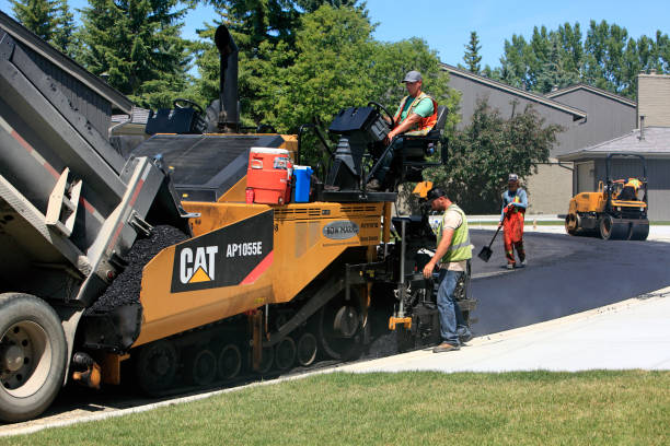 Best Local Driveway Pavers  in Cabana Colony, FL